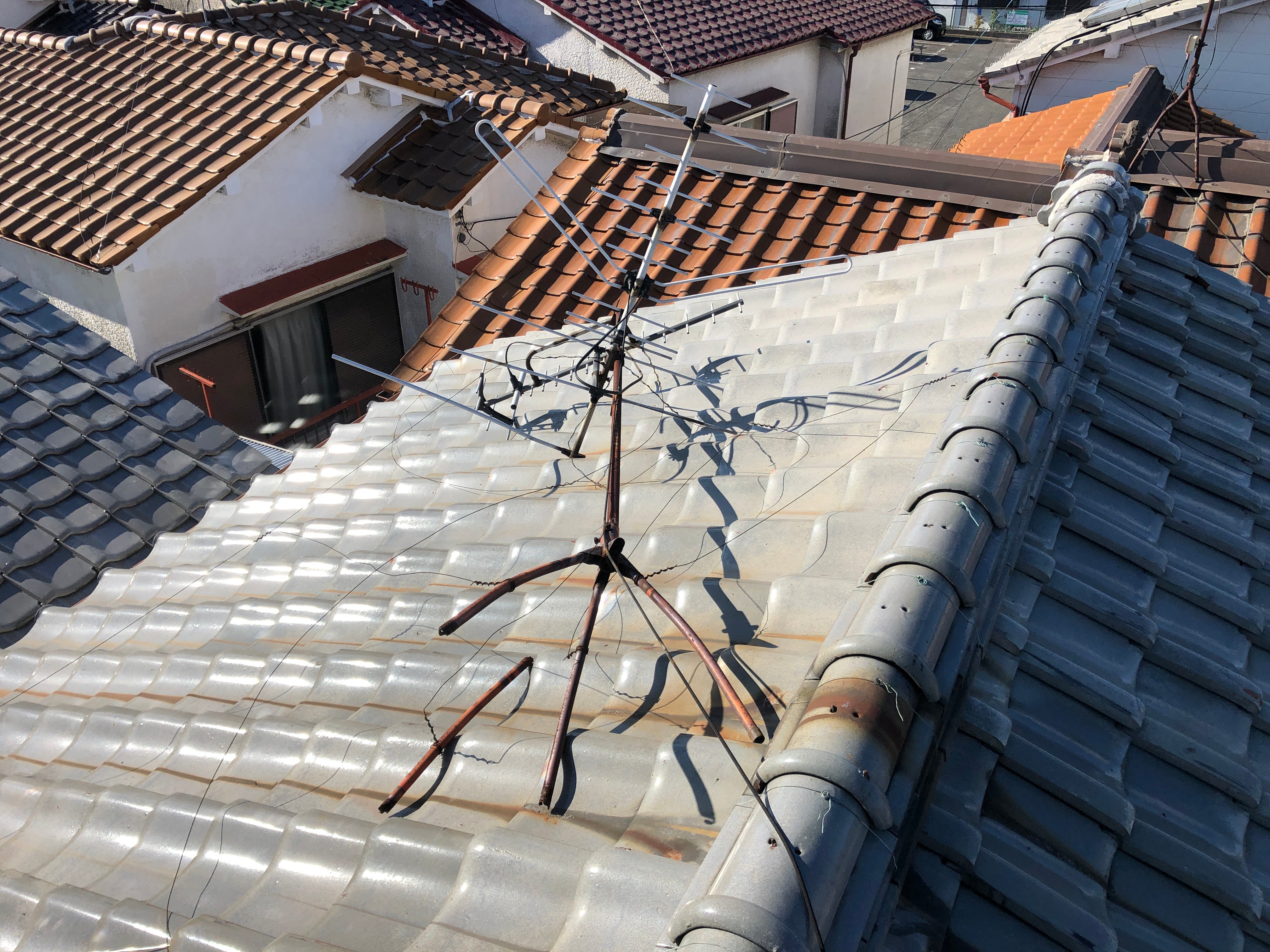 の画像